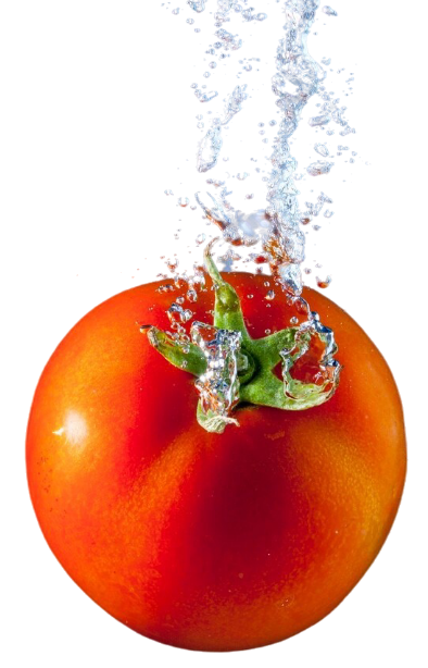 Tomato